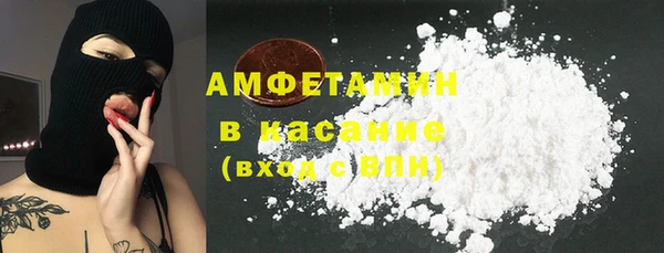 шишки Вязники